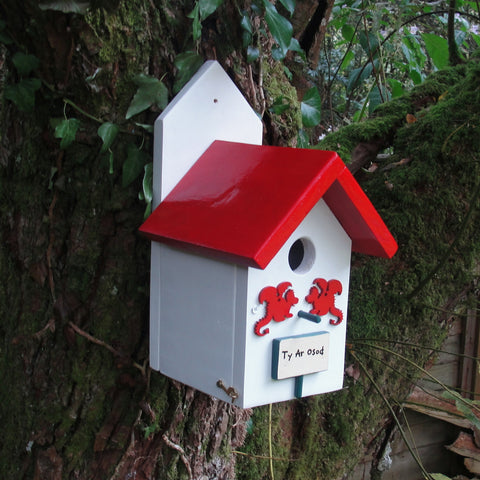 Personalised Handcrafted Dragon Bird House